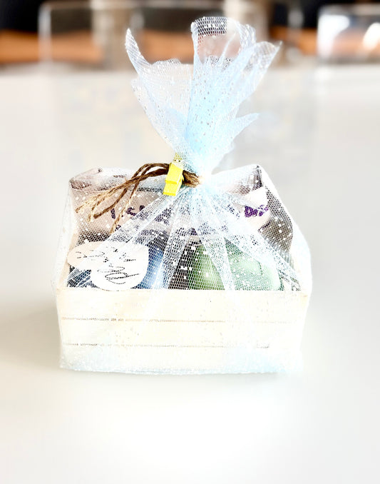 Tete Batsie's Condition Custom teas (small box)- Please pick 2(container 1 & Container 2)