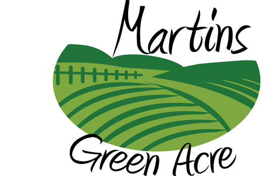 Garden Consultancy Speaking Engagement